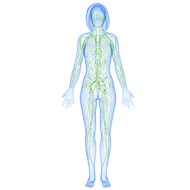 Lymphatic Massage: What is it and Why it Won’t Make You Lose Weight?