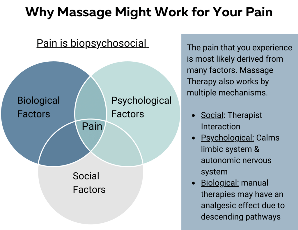 Infographic massage and pain. Pain has bio, psycho, and social factors. Massage also works in many ways. it to works on a biological level, phsychological level and social level. 